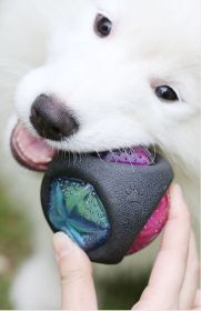 Pet Rubber Bouncing Toy Dog Chew Toy Light up Ball Squeaky Toy, Bite Resistant Irregular Shape Toy (Design: Round)